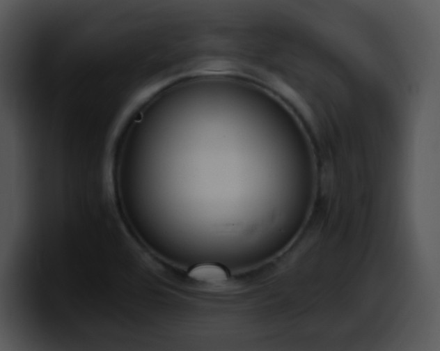 X0000100401464200806061305