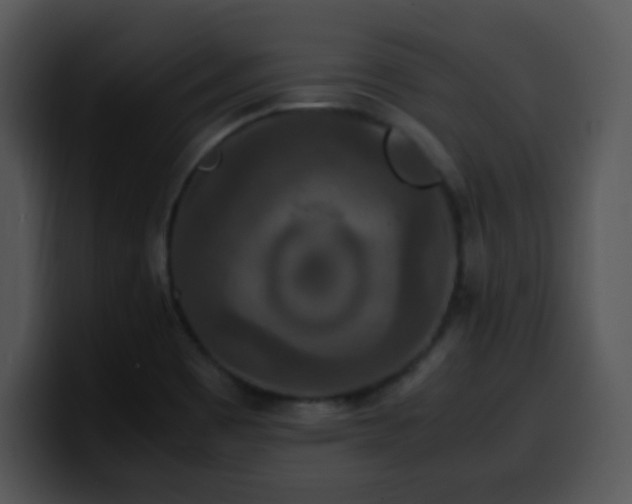 X0000100401465200806061305