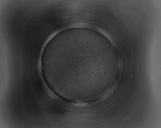 X0000100401466200806061305