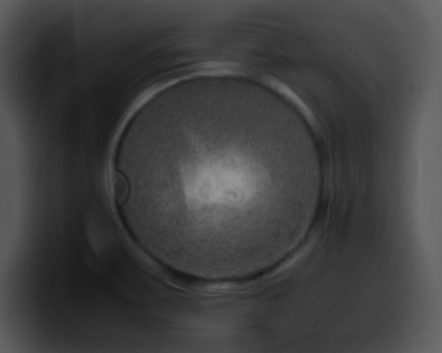 X0000100401467200806061305
