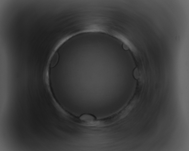 X0000100401468200806061305