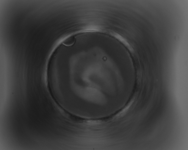 X0000100401469200806061305