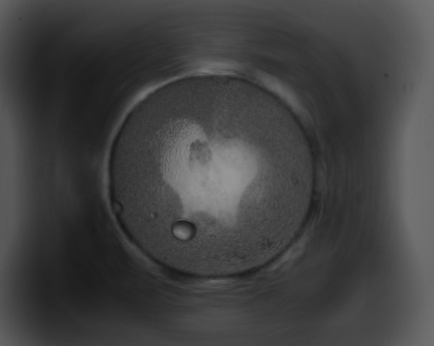 X0000100401471200806061305