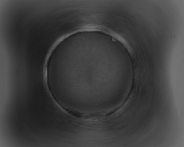X0000100401472200806061305