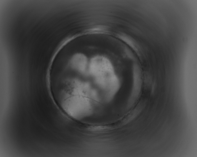 X0000100401474200806061305