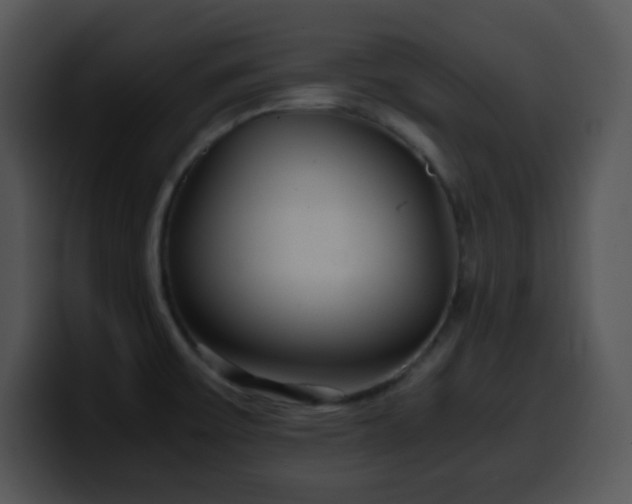 X0000100401475200806061305