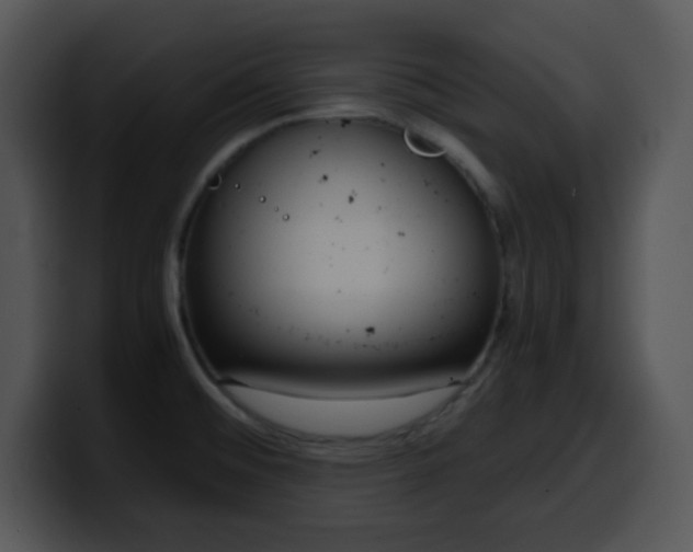 X0000100401476200806061305