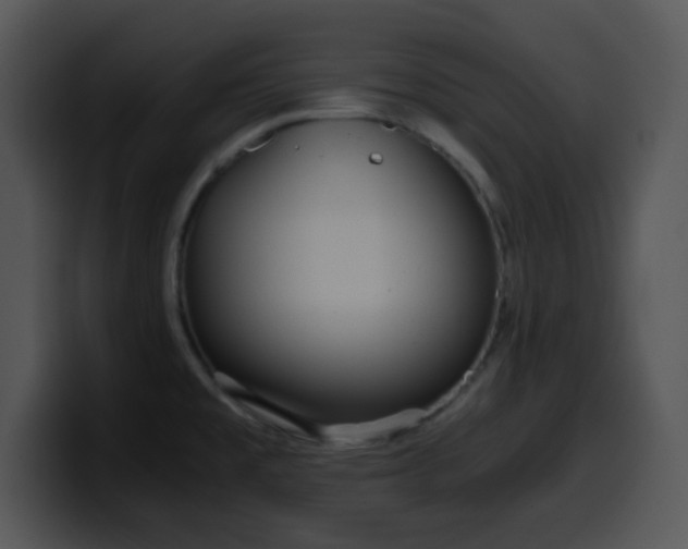 X0000100401477200806061305