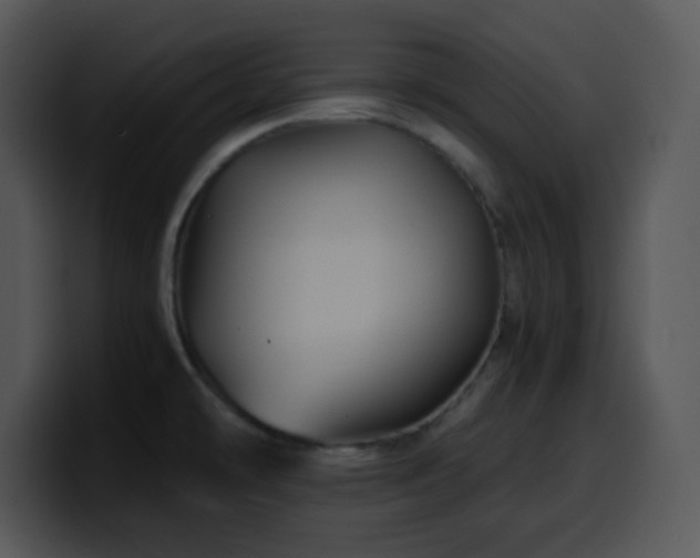X0000100401478200806061305