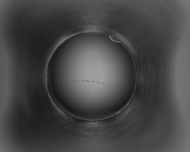 X0000100401479200806061305