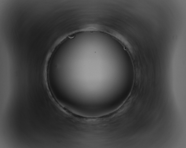 X0000100401480200806061305