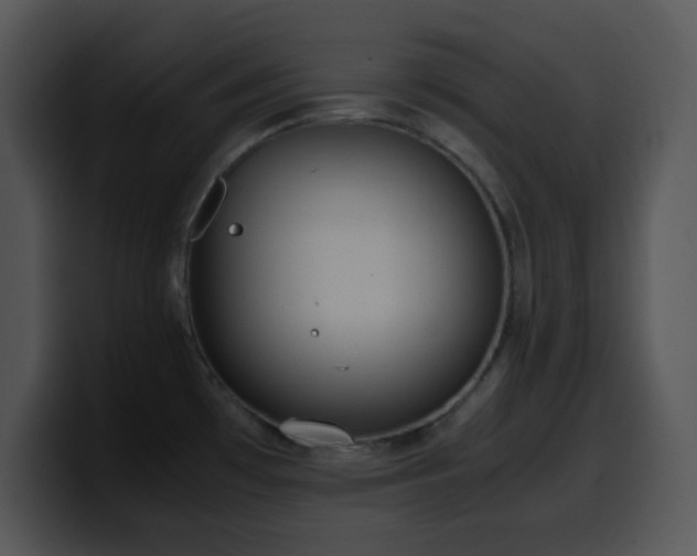 X0000100401481200806061305