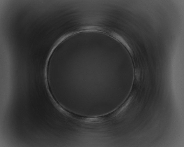 X0000100401482200806061305