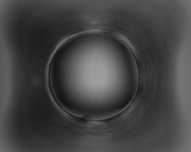 X0000100401483200806061305