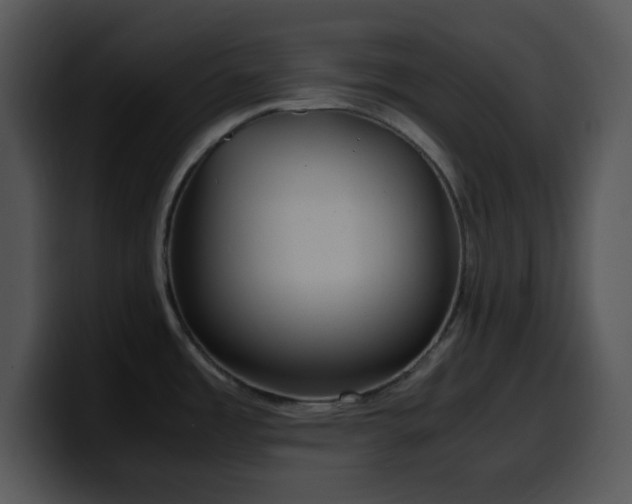 X0000100401485200806061305