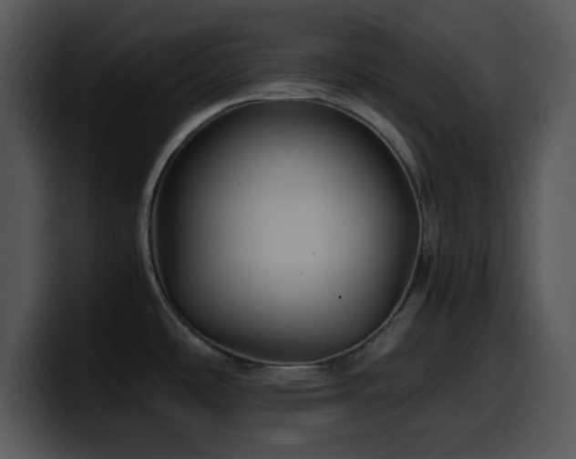 X0000100401486200806061305