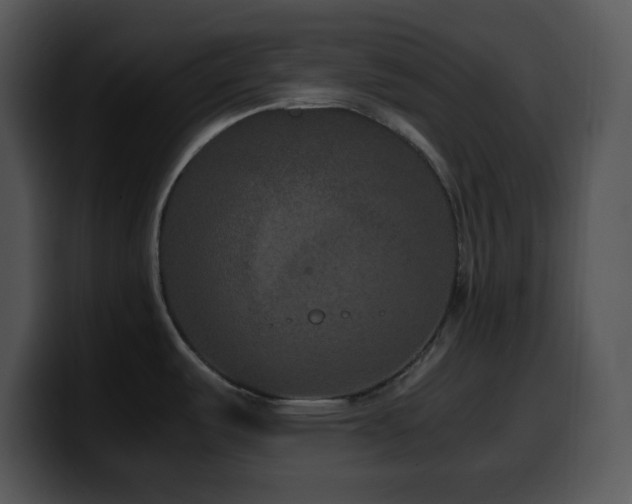 X0000100401487200806061305