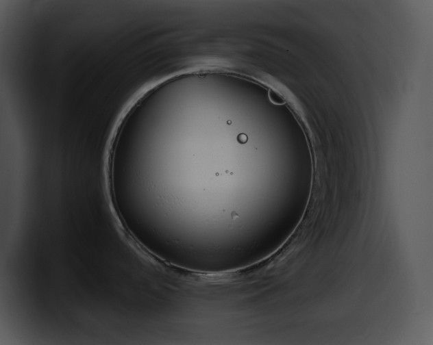 X0000100401488200806061305