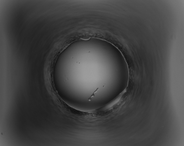 X0000100401489200806061304