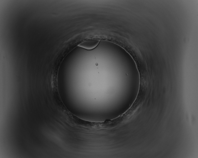 X0000100401490200806061304