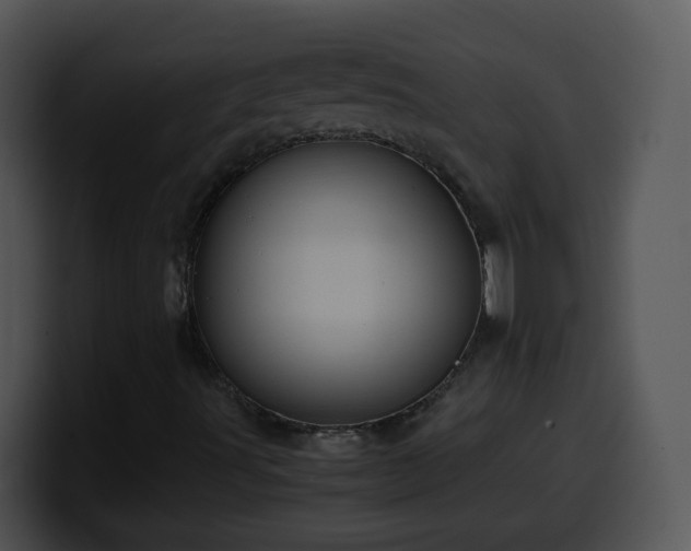 X0000100401491200806061304