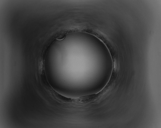 X0000100401492200806061304