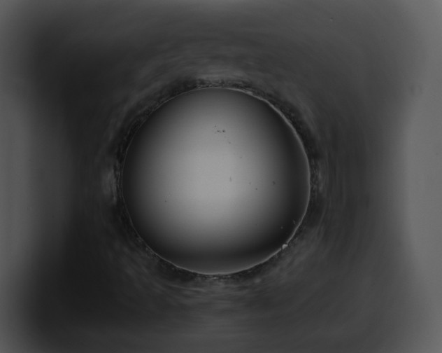 X0000100401493200806061304