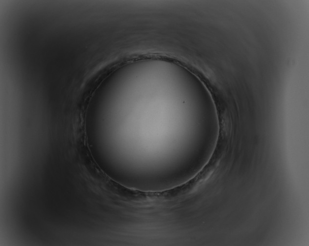 X0000100401494200806061304