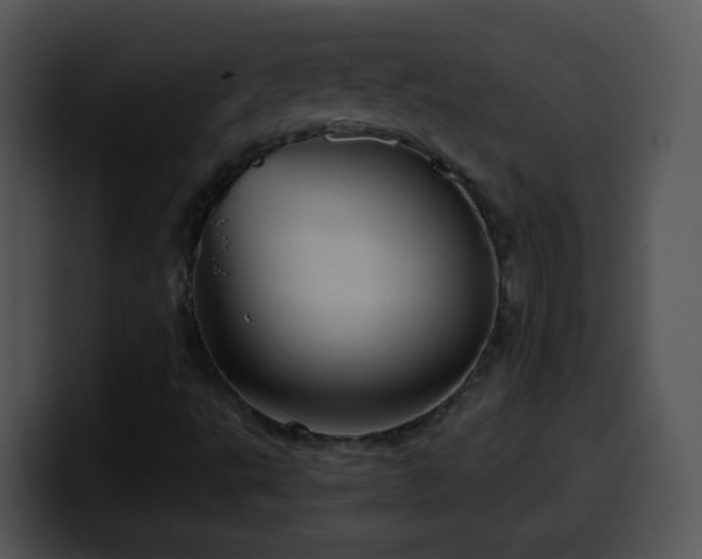 X0000100401495200806061304