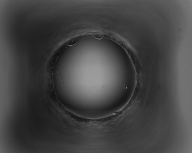 X0000100401496200806061304