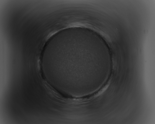 X0000100401497200806061304