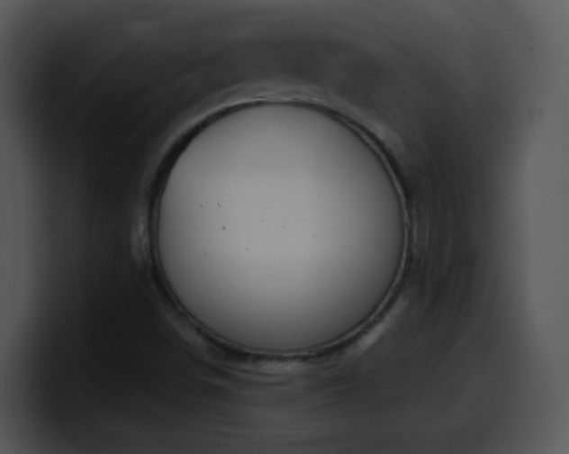X0000100401498200806061304