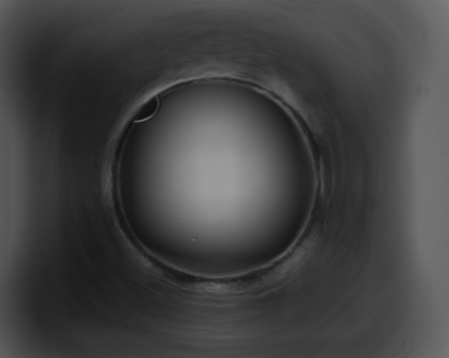 X0000100401500200806061304
