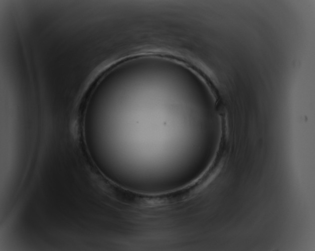 X0000100401501200806061304