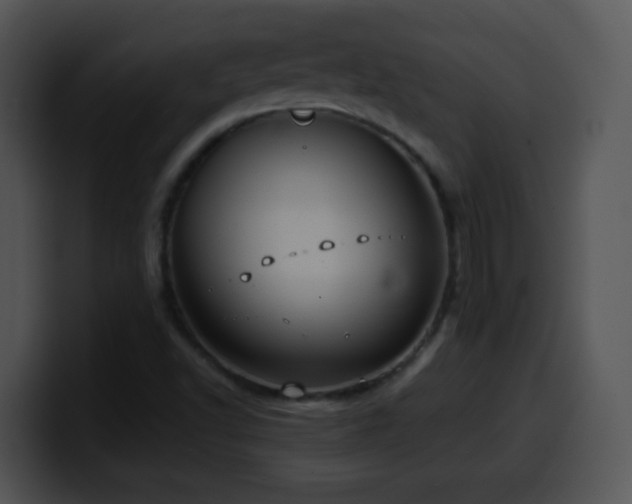 X0000100401502200806061304