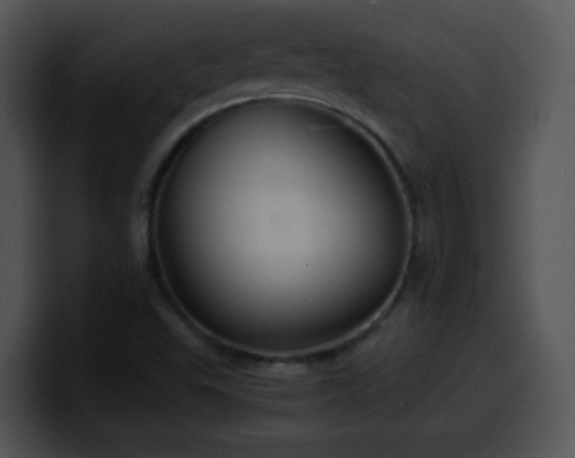 X0000100401503200806061304