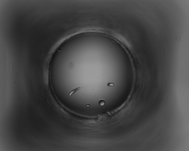X0000100401504200806061304