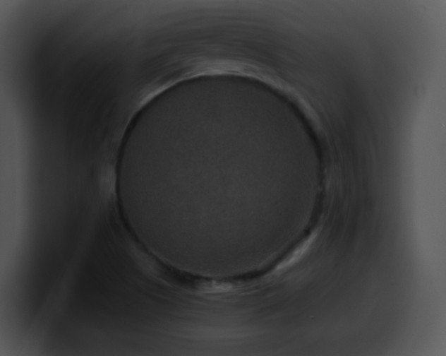 X0000100401505200806061304