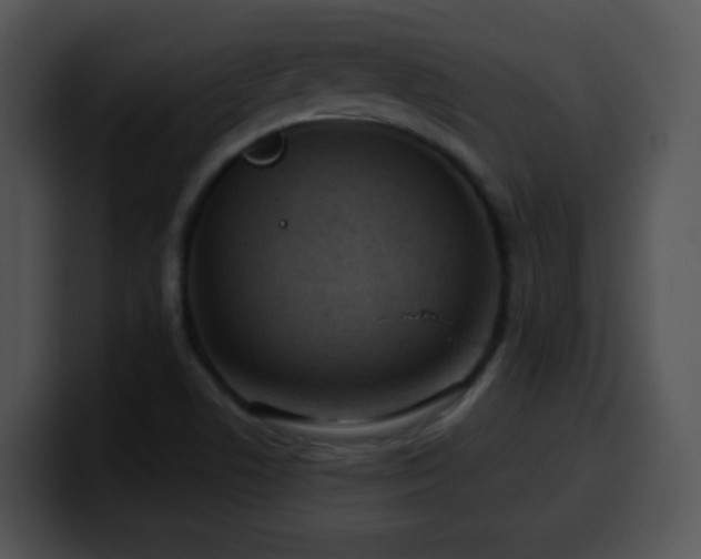 X0000100401506200806061304