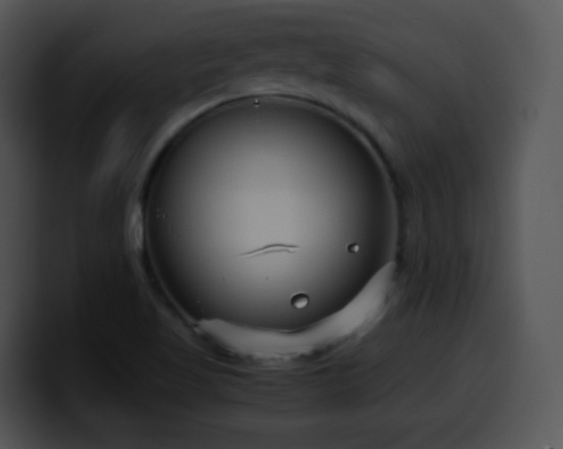 X0000100401509200806061305