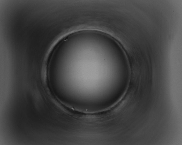 X0000100401511200806061305