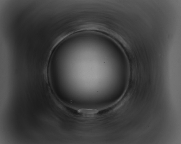 X0000100401513200806061305