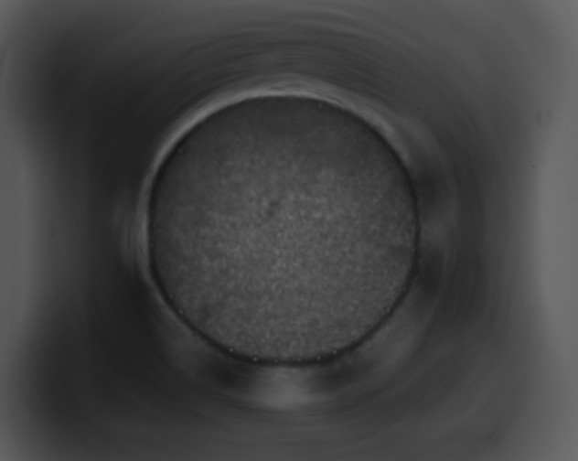 X0000100401514200806061305