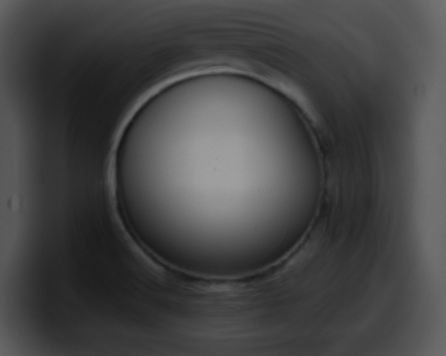 X0000100401516200806061305
