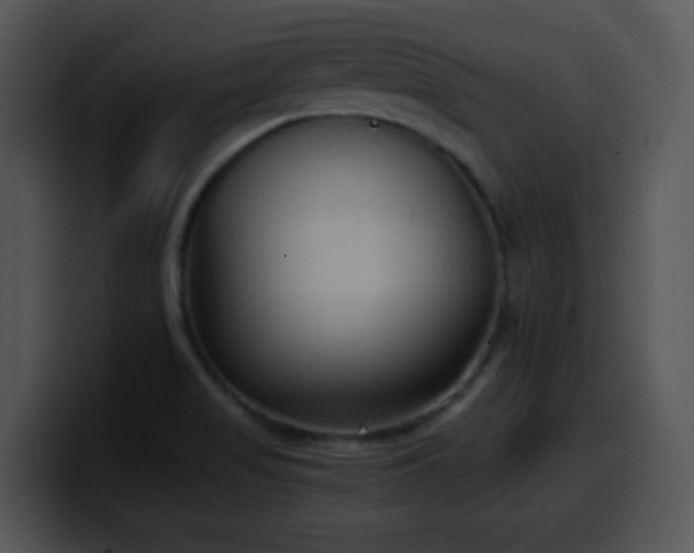 X0000100401517200806061305