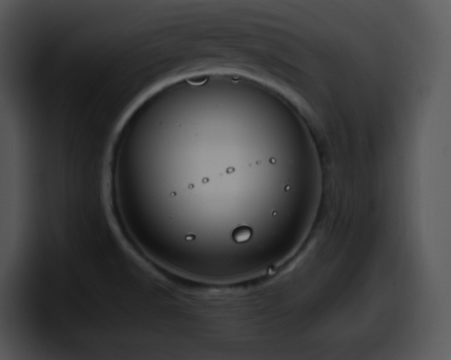 X0000100401518200806061305