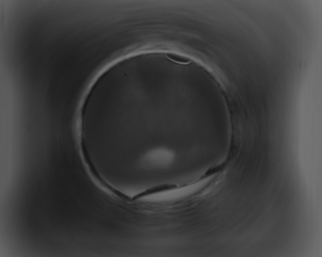 X0000100401519200806061305