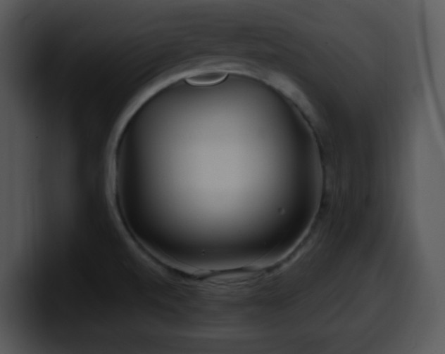 X0000100401520200806061305