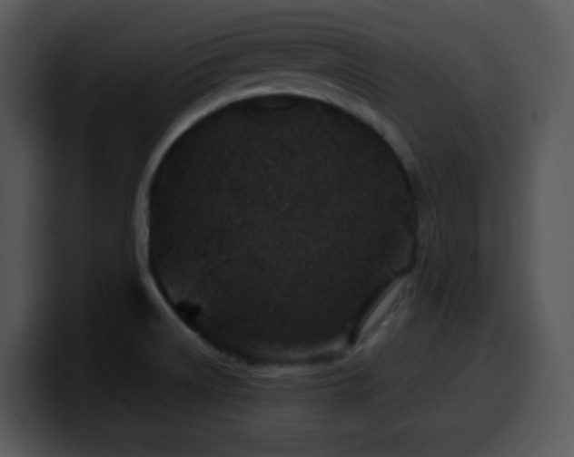 X0000100401522200806061305