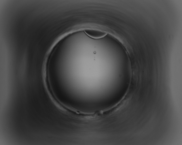 X0000100401523200806061305